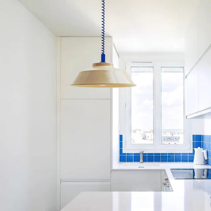 Glossy Metal Pendant Light