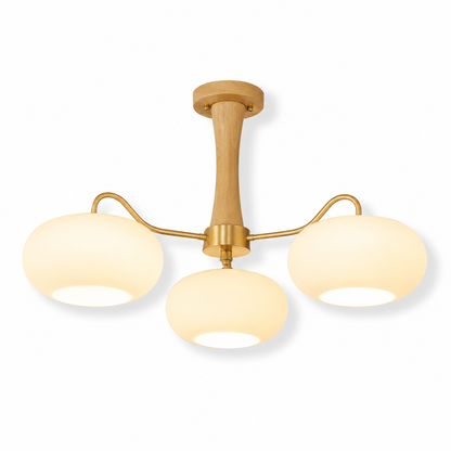 brass-wood-glass-chandelier-main

