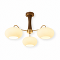 Brass and Wood Glass Chandelier